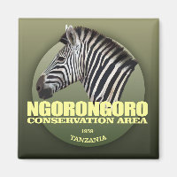 Ngorongoro (zèbre)