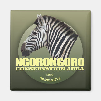 Aimant Ngorongoro (zèbre)