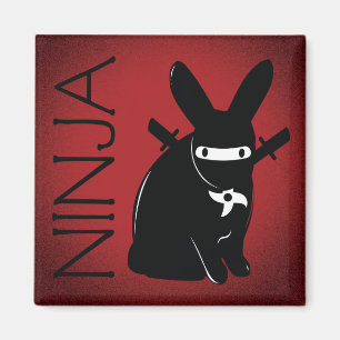 AIMANT NINJA