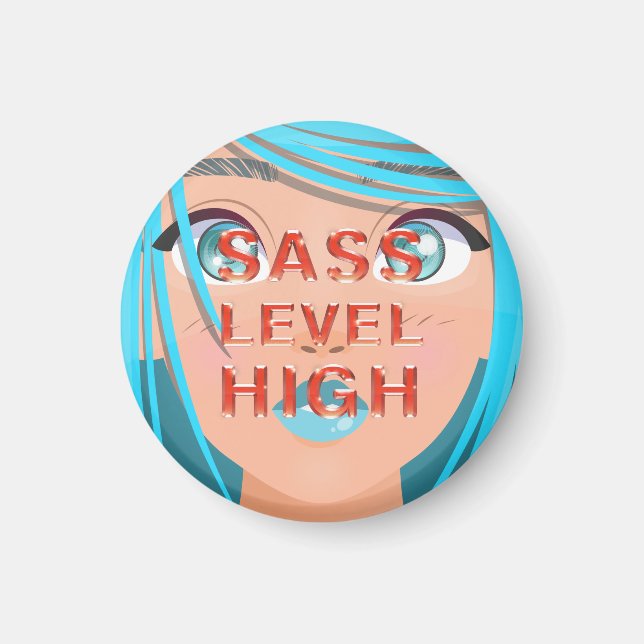 Aimant Niveau de Sass élevé (Devant)