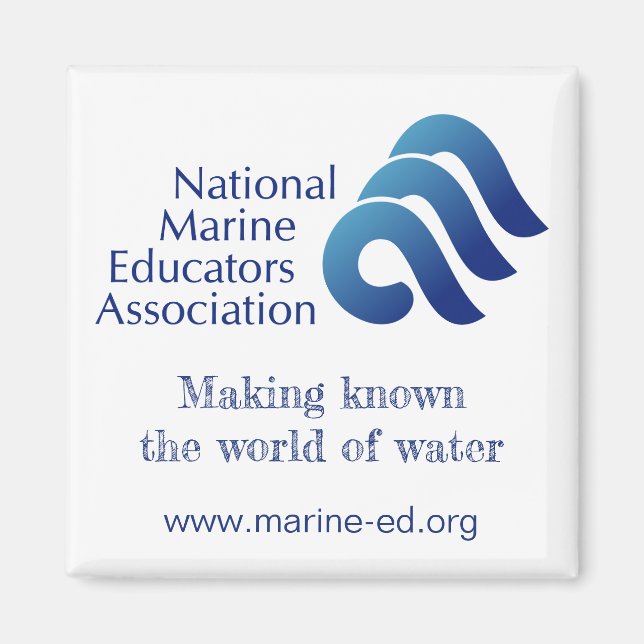 Aimant NMEA (Devant)