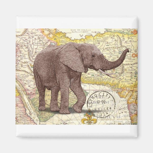 Aimant NOB173 Trunk 1.tif (Devant)