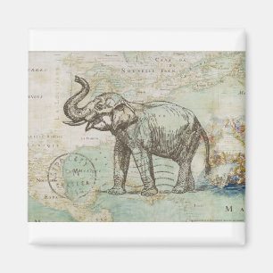 Aimant NOB174 tronc 2.tif