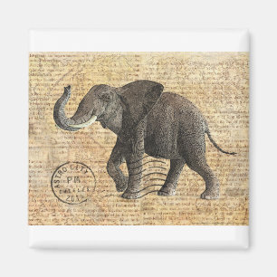 Aimant NOB175 Camion 3.tif