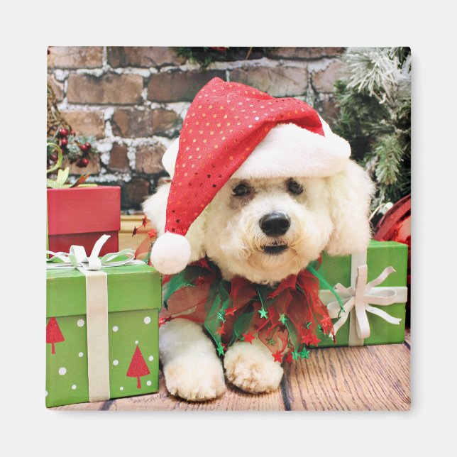 Aimant Noël - Bichon Frise - Daisy (Devant)