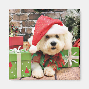 Aimant Noël - Bichon Frise - marguerite