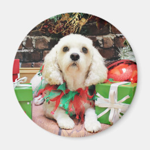 Aimant Noël - Bichon Frise X - Maya