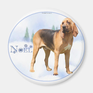 Aimant Noel Bloodhound