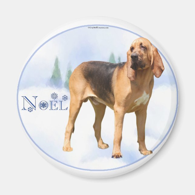 Aimant Noel Bloodhound (Devant)