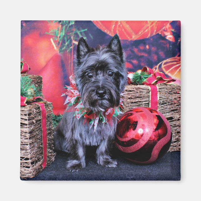 Aimant Noël - Cairn Terrier - Bijou (Devant)