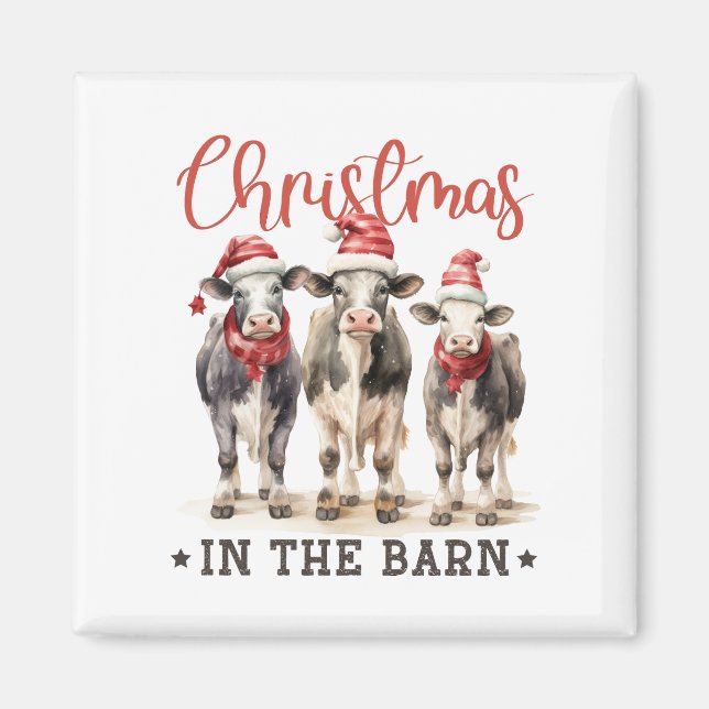 Aimant Noël dans les vaches rustiques de la grange à Sant (Devant)