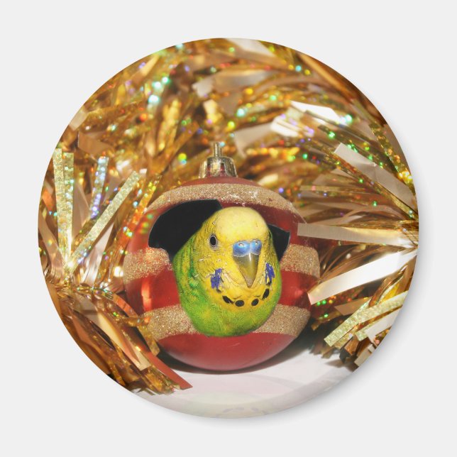 Aimant Noël de la perruche (Devant)