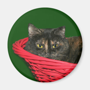 Aimant Noël d'écaille