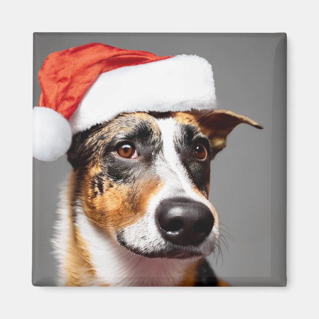 Aimant Noël du chien de bétail australien (Devant)