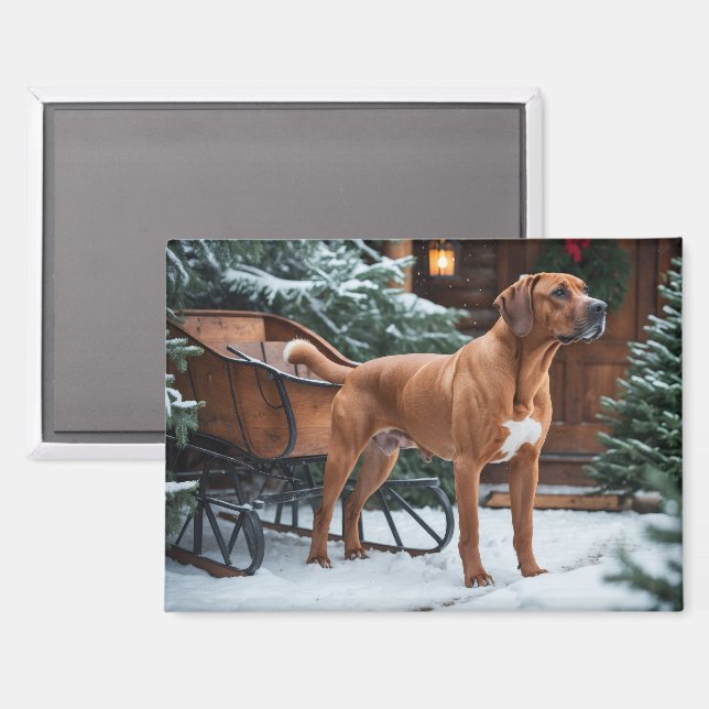 Aimant Noël Festif Rhodesian Ridgeback (Recto/Verso)