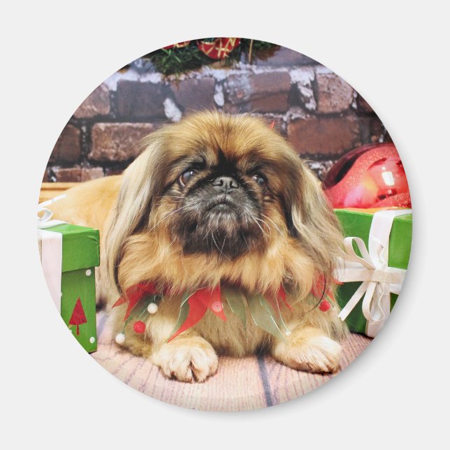 Aimant Noël - Pekingese - Galets (Devant)
