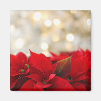 Aimant Noël Poinsettia