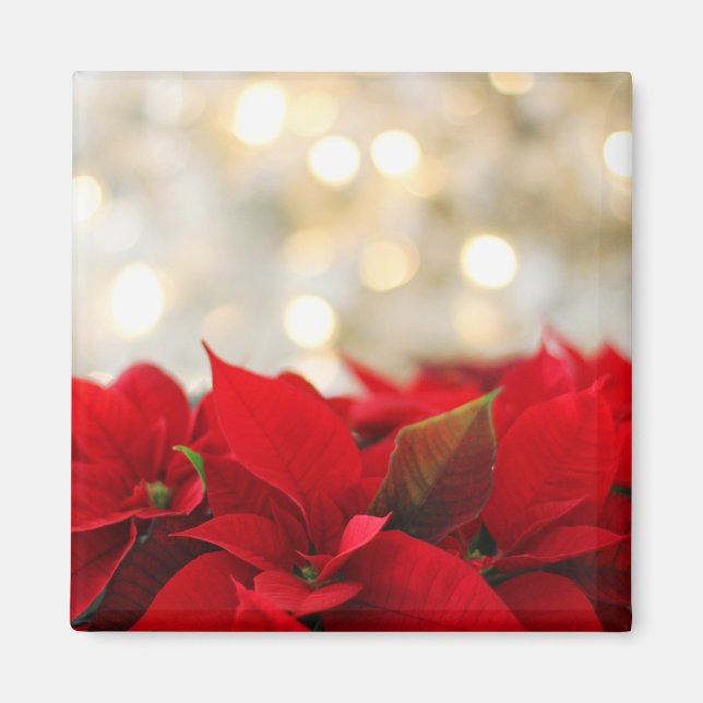 Aimant Noël Poinsettia (Devant)