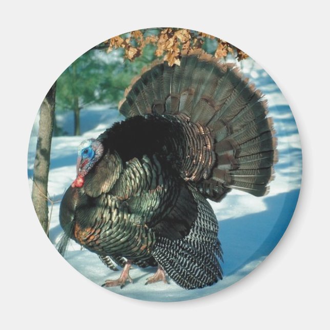 Aimant Noël Turquie Thanksgiving Oiseau hiver Faune (Devant)