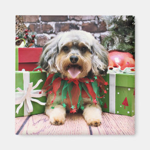 Aimant Noël - YorkiPoo - Oliver