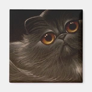 Aimant NOIR de CAT PERSAN