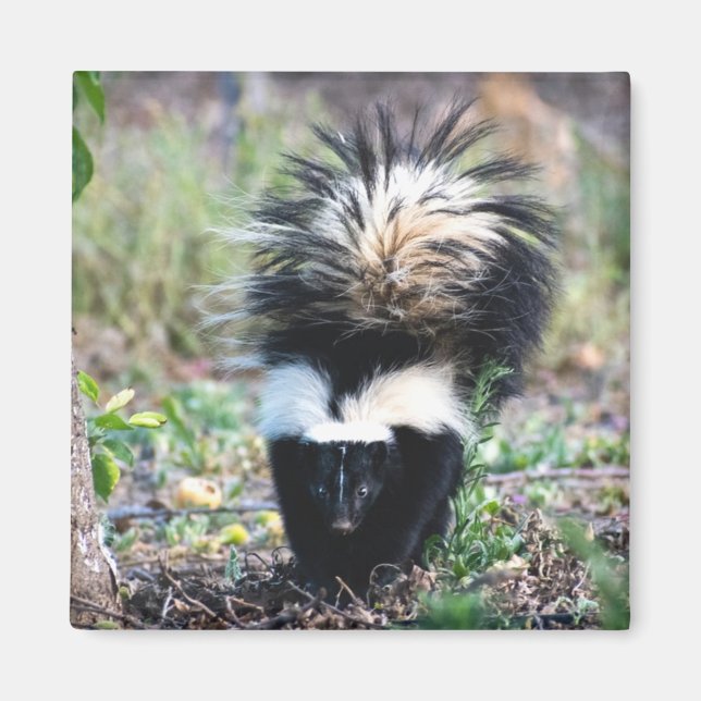 Aimant Noir et blanc (Devant)