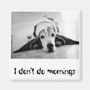 Aimant noir et blanc de Basset Hound