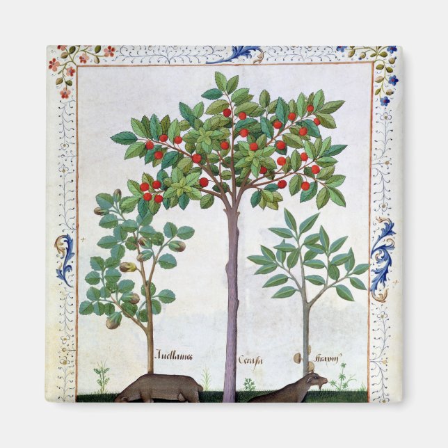 Aimant Noisier Bush et cerisier (Devant)