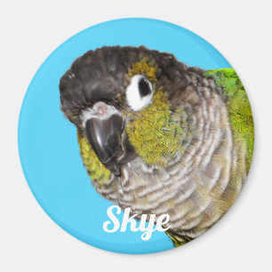 Aimant Nom de photo d'oiseau de compagnie personnalisé