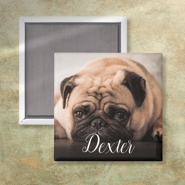 Aimant Nom de script de photo de chien de compagnie perso (Personalized Dog Cat Pet Photo Script Name Magnet)