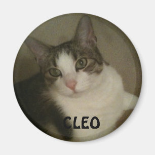 Aimant nommé de Pet Photo