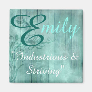 Aimant nommé de signification, Emily
