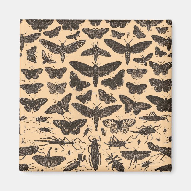 Aimant non défini (Devant)