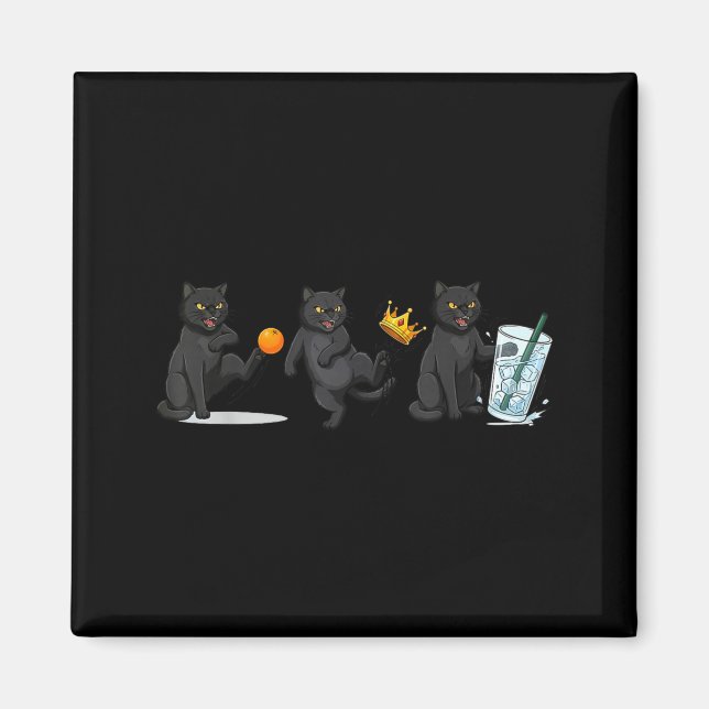 Aimant Non non rois non chat de glace mème politique drôl (Devant)