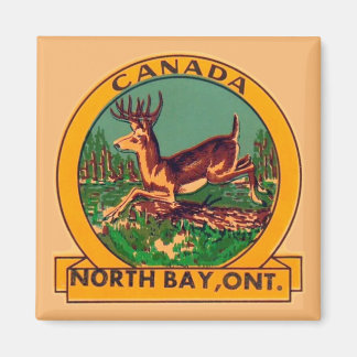 Aimant North Bay (Ontario) -