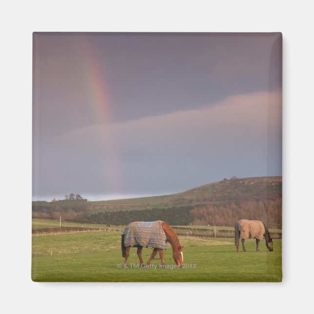 Aimant Northumberland, Angleterre (Devant)