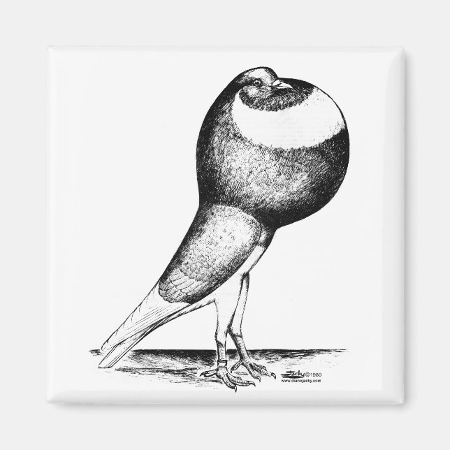 Aimant Norwich Cropper 1980 (Devant)