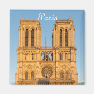 Aimant Notre Dame de Paris à l'Heure d'or - Paris, France