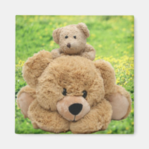 Aimant Nounours mignon dans un pré