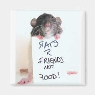 Aimant Nourriture 2 d'amis des rats R pas