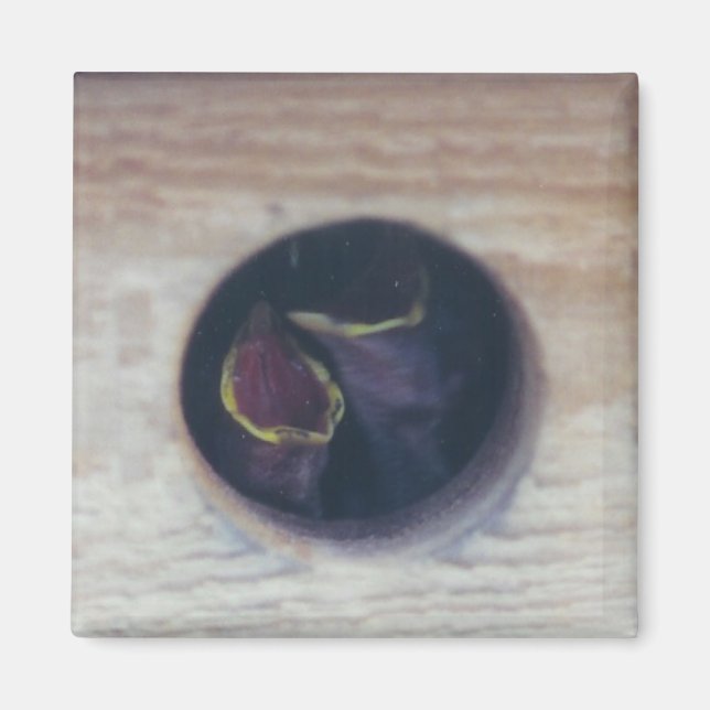 Aimant NOUS NOURRIR ! -magnet (Devant)