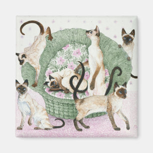 Aimant Nous sommes Siamais si vous vous plaît