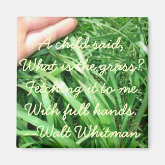 Aimant Nouveau jeu d'aimants parent 5 sur 5 (amélioré)