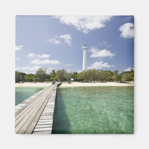 Aimant Nouvelle-Calédonie, île d'Amedee. Jetée de l'Il
