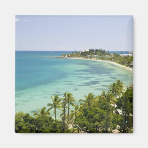 Aimant Nouvelle-Calédonie, île de Grande Terre, Noumea. A
