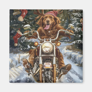 Aimant Nouvelle-Écosse Moto à chiens Noël