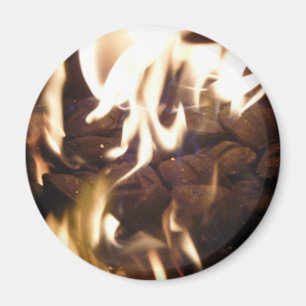 Aimant Nouvelles années d'aimant d'Eve_December 31 (101)