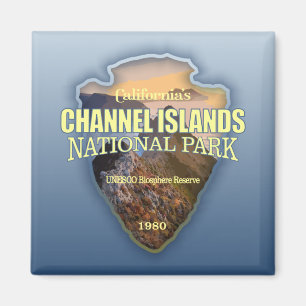 Aimant NP des îles Anglo-Normandes (pointe de flèche)