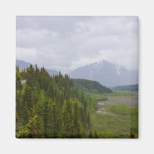 Aimant Nuageux À Denali
