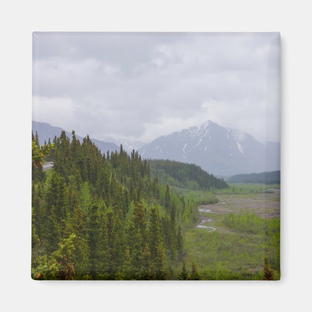 Aimant Nuageux À Denali (Devant)